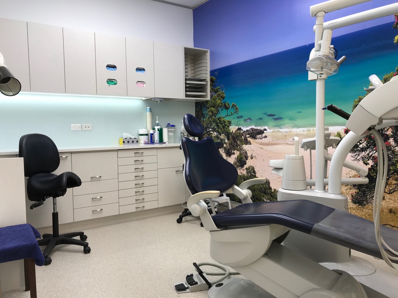 INSTITUTIONAL project 10